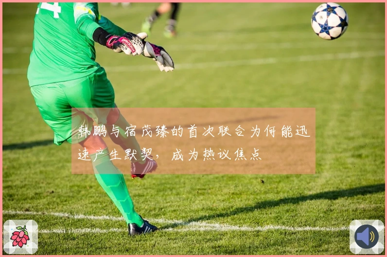 韩鹏与宿茂臻的首次联合为何能迅速产生默契，成为热议焦点